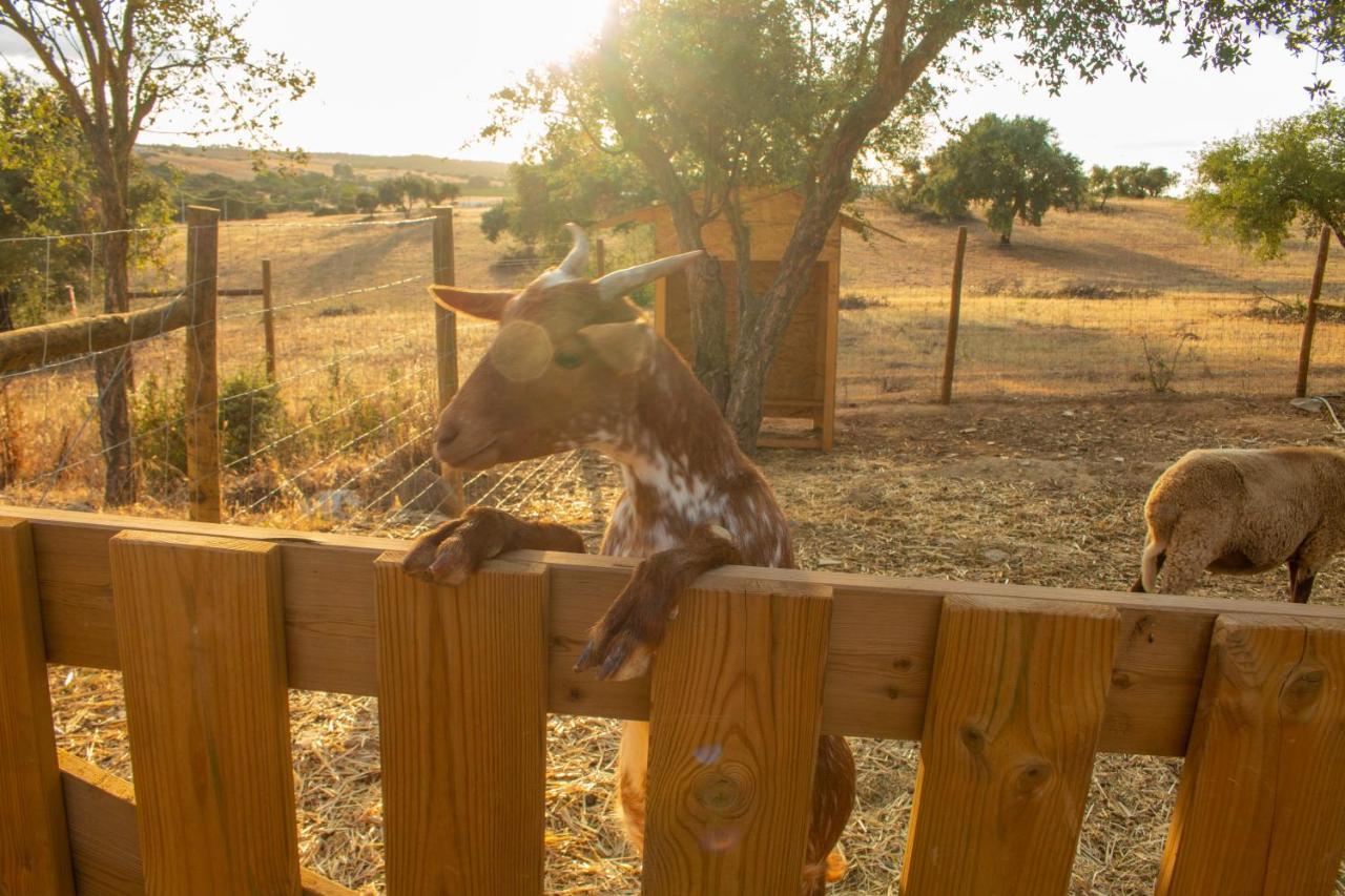 Reflexos D'Alma Turismo Rural Estremoz Ngoại thất bức ảnh